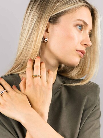 fejn Earrings in Silver