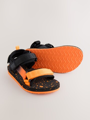 Next Open shoes in Orange