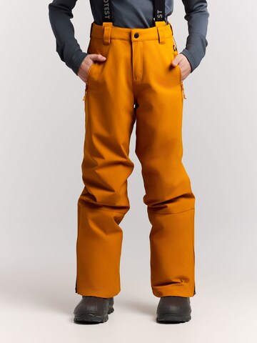 PROTEST Regular Sports trousers 'Spikety JR' in Brown