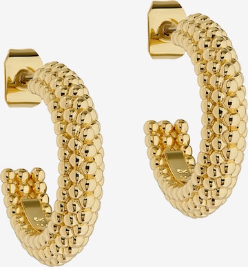 Ted Baker Earrings 'DOTETTA' in Gold: front