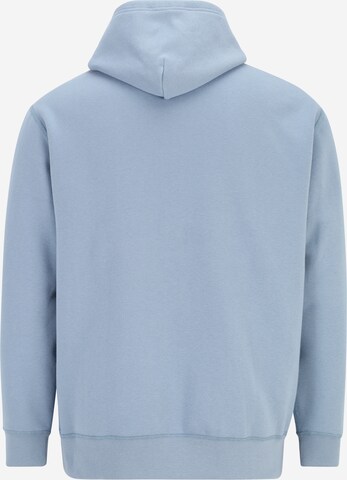 Polo Ralph Lauren Big & Tall Sweatshirt in Blue