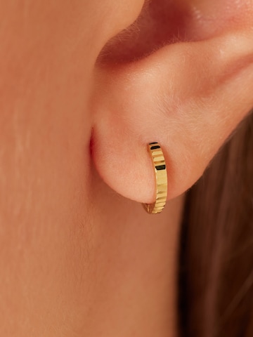 Lucardi Oorbellen in Goud