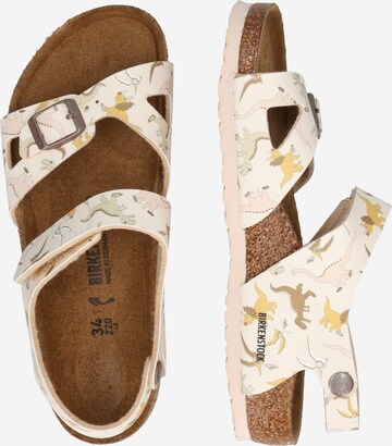 BIRKENSTOCK Sandalen 'Colorado' in Beige