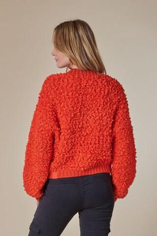 Zhrill Strickjacke in Orange