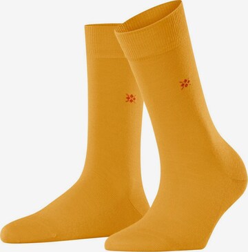 BURLINGTON Socks in Yellow: front