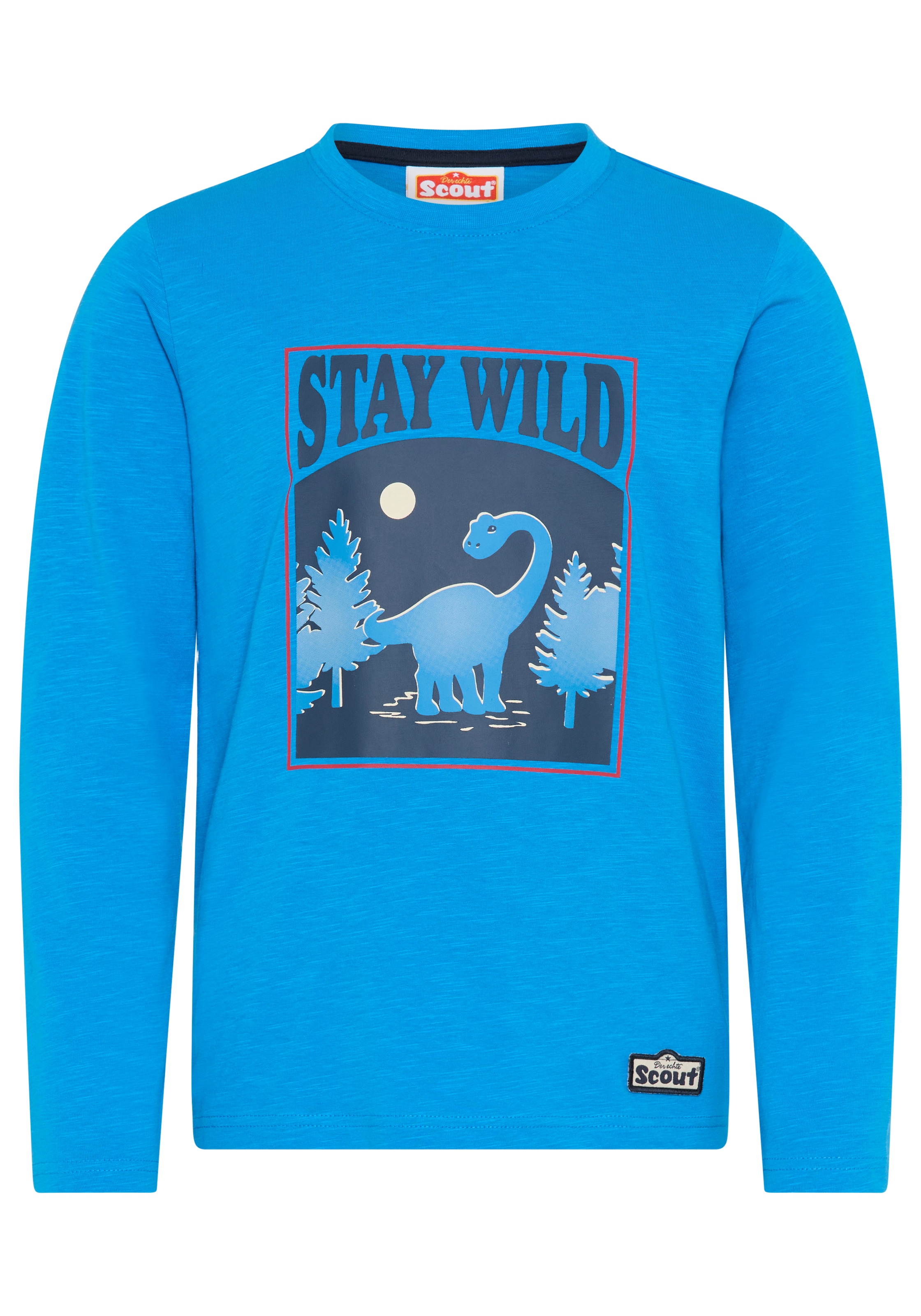 SCOUT Shirt in Blue: front