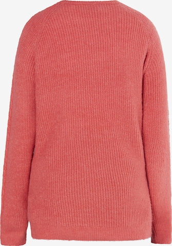 Usha Pullover in Rot