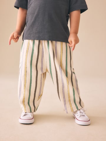 Next Wide leg Pants in Mixed colors: front