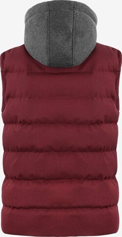 Gilet de sport 'Saywar' normani en rouge