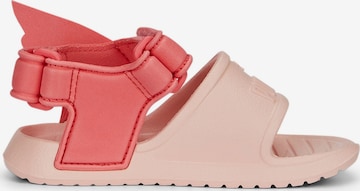 PUMA Beach & swim shoe 'Divecat v2 Injex' in Pink