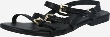 ABOUT YOU Sandalen met riem 'Juna' in Zwart: voorkant