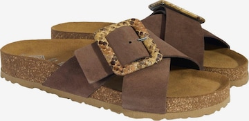 Desa - Zapatillas de casa 'Hausschuhe' en marrón: frente