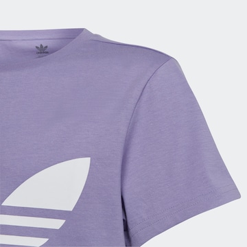 ADIDAS ORIGINALS Shirt 'Trefoil' in Purple