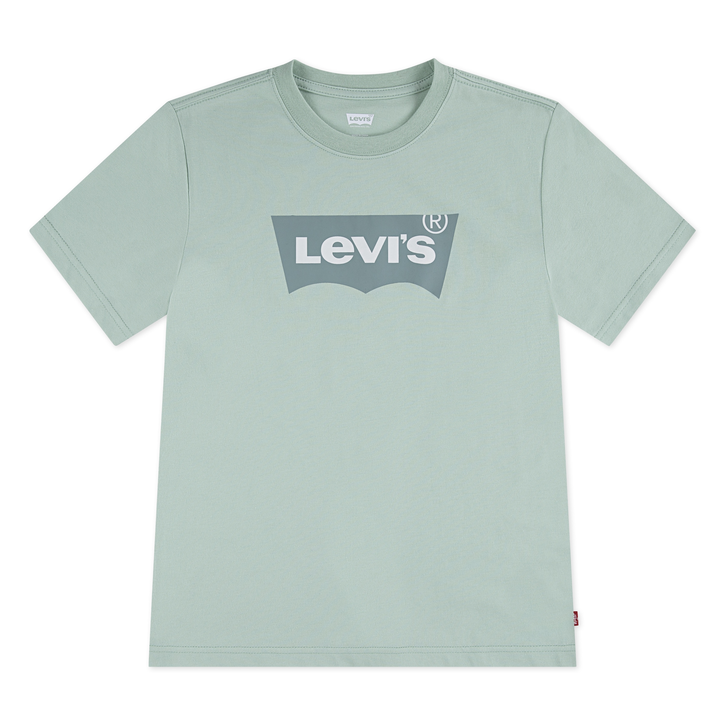 Levi's Kids Shirt in Light grey / Mint / Dark green, Item view