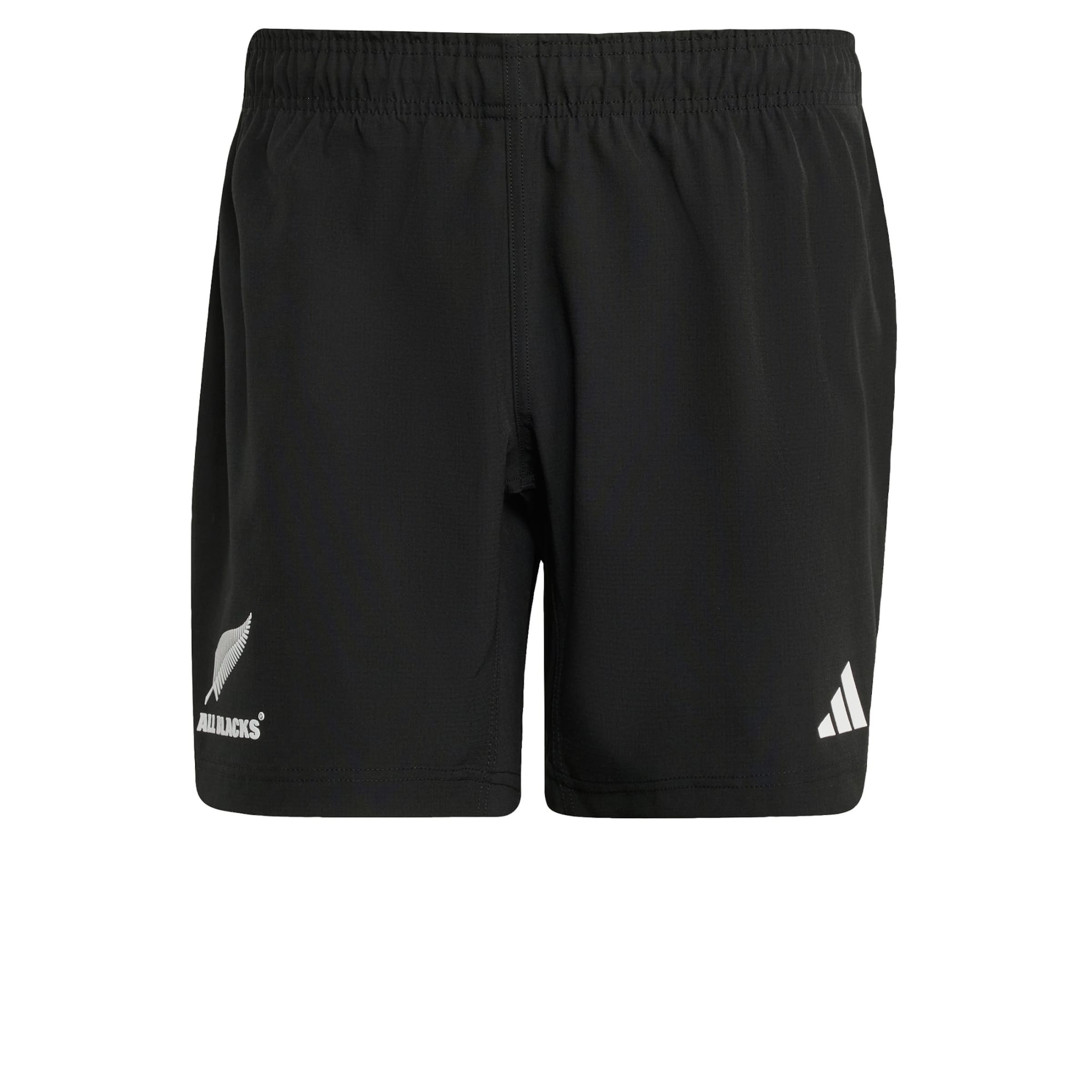 regular Pantaloni sportivi 'All Blacks' di ADIDAS PERFORMANCE in nero: frontale