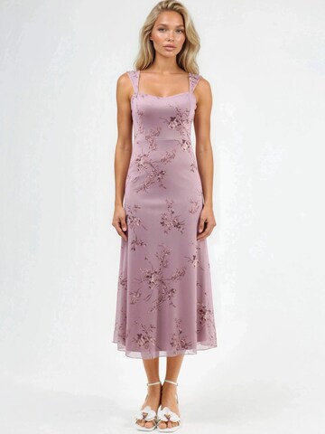 Hiccup Kleid in Pink