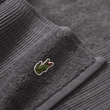 LACOSTE Towel in Grey