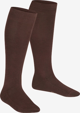 FALKE Socks 'Family' in Brown: front