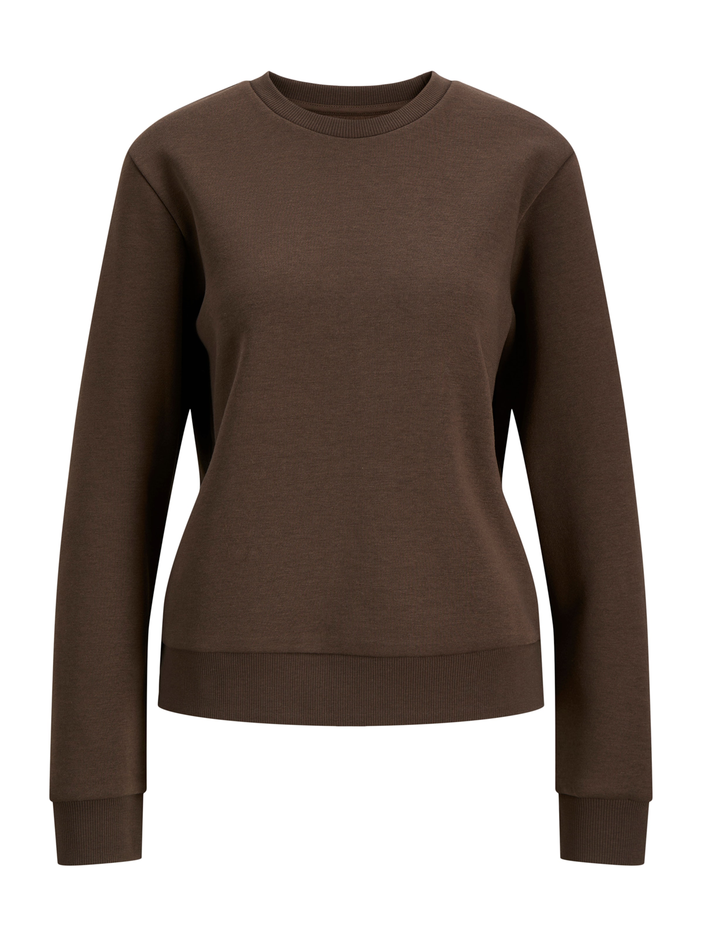 JJ Rebel Sweatshirt 'JREBWVERA' i brun: framsida