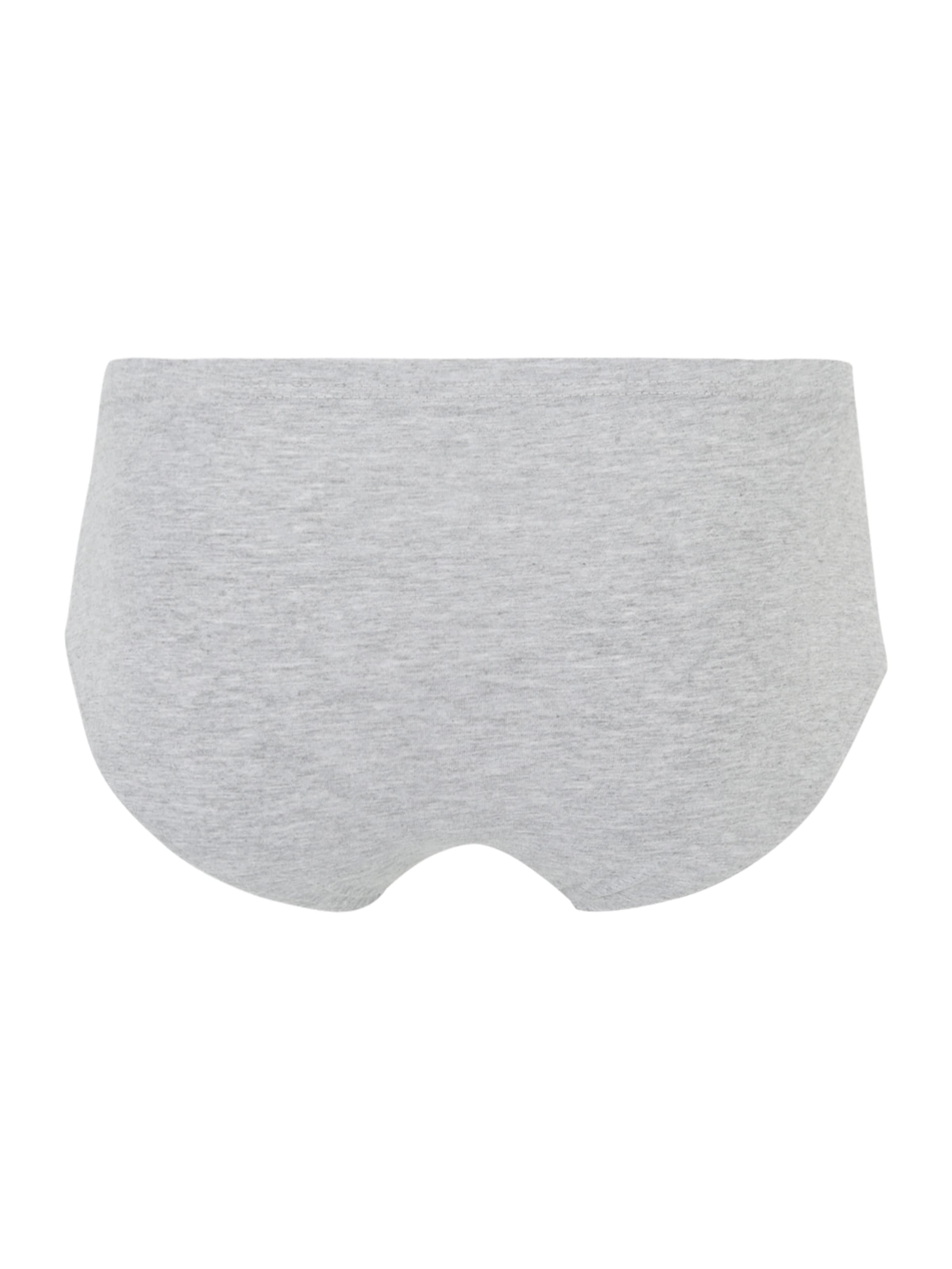 JBS OF DENMARK Regular Panty in Grey