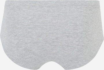 JBS OF DENMARK Regular Panty in Grey