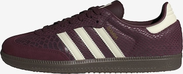 Sneaker bassa 'Samba' di ADIDAS ORIGINALS in marrone: frontale