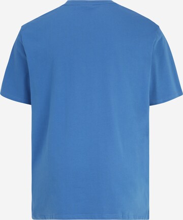 Lyle & Scott Big&Tall Bluser & t-shirts i blå
