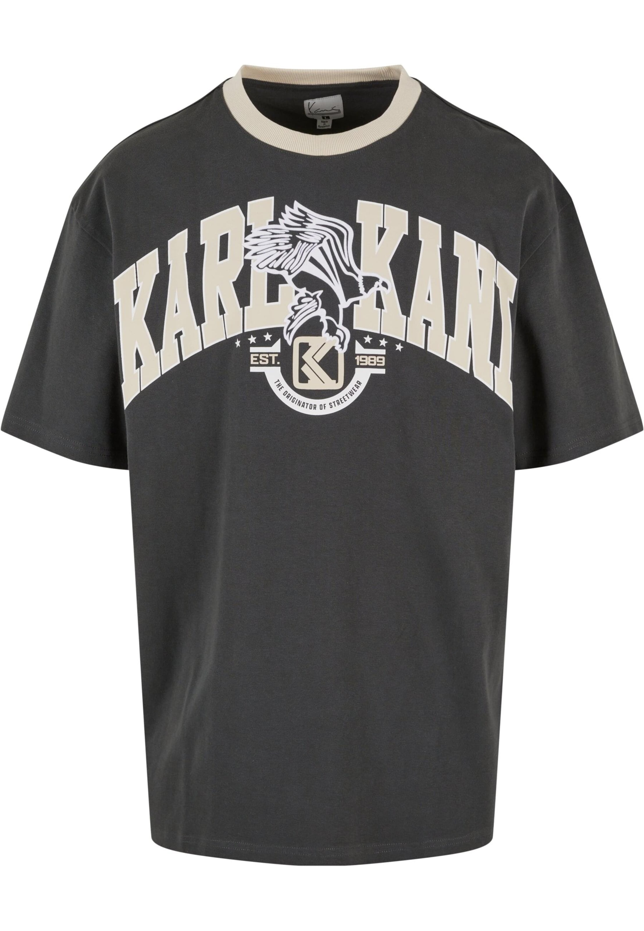 Karl Kani T-Shirt 'Eagle' in Grau: Vorderseite