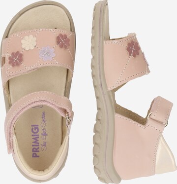 PRIMIGI Sandals in Pink