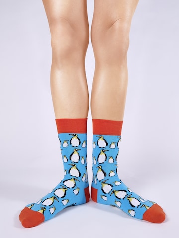 UNABUX Socks in Mixed colors: front