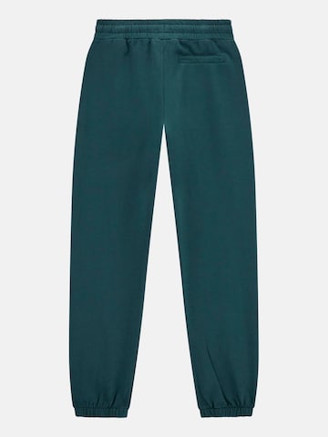 GUESS Regular Hose in Grün