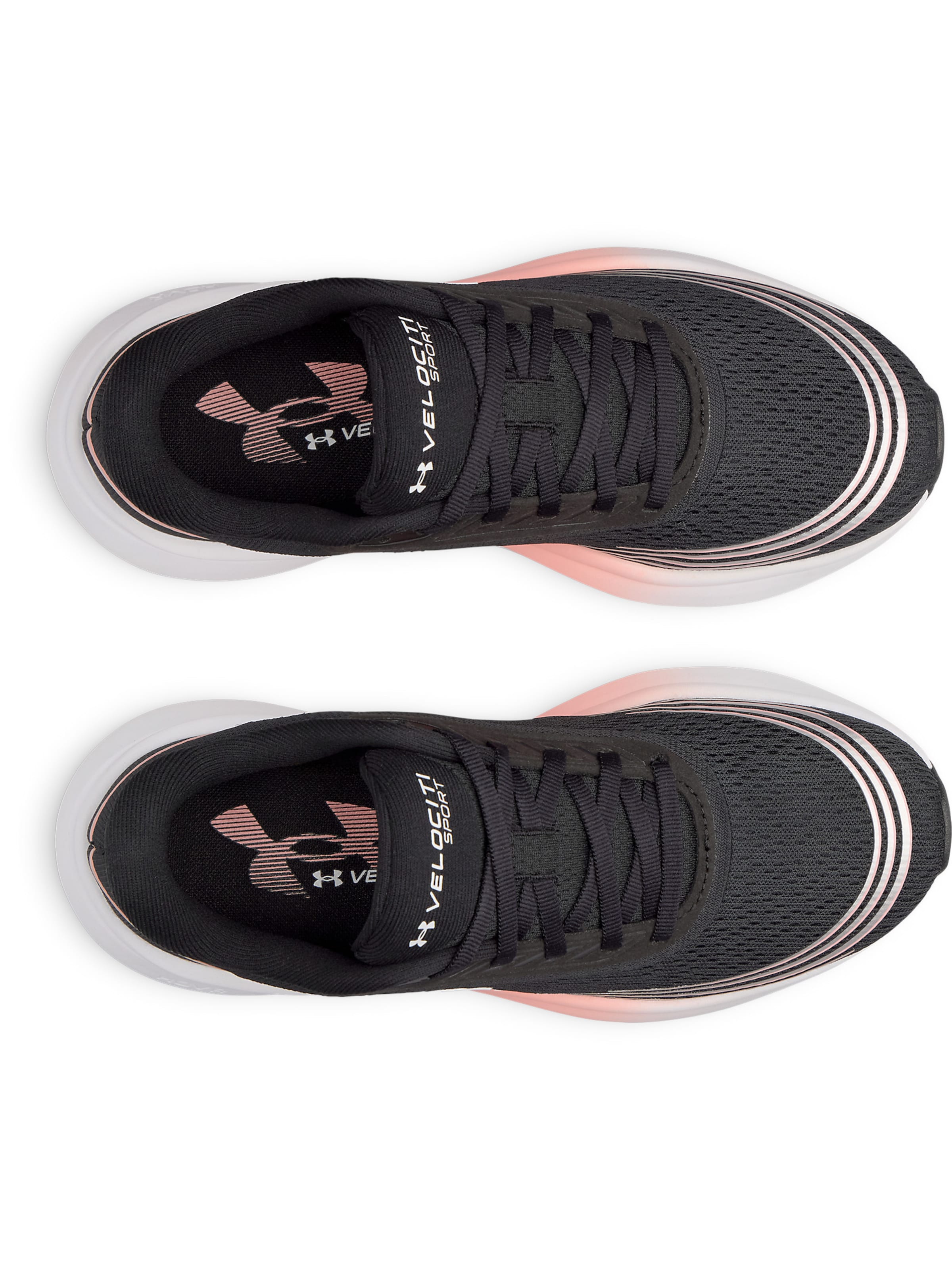 UNDER ARMOUR Running shoe 'Velociti Sport' in Black