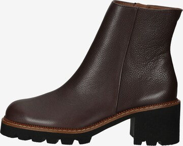 Paul Green Ankle Boots in Brown