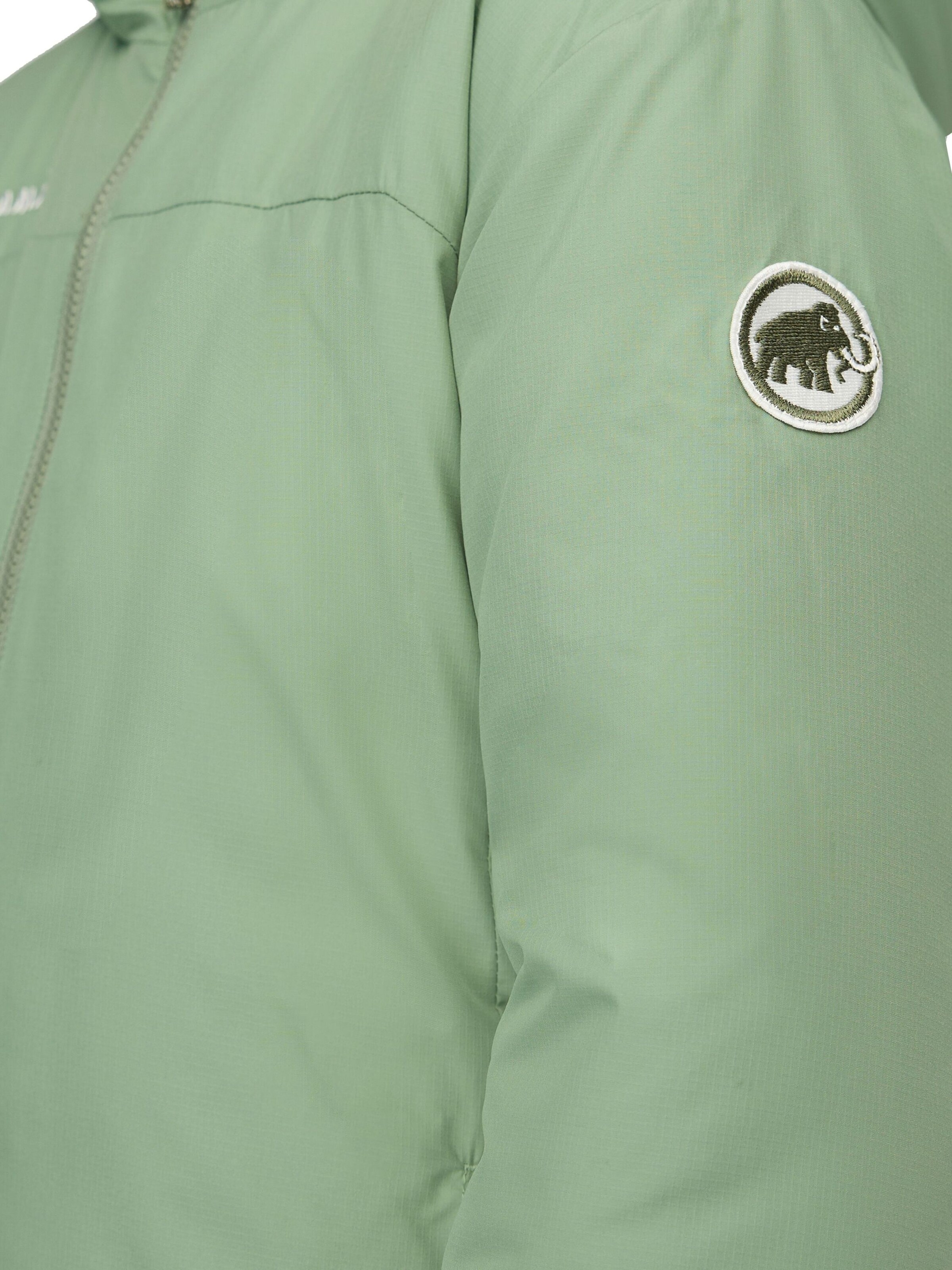 MAMMUT Outdoor jacket 'Rime IN' in Green