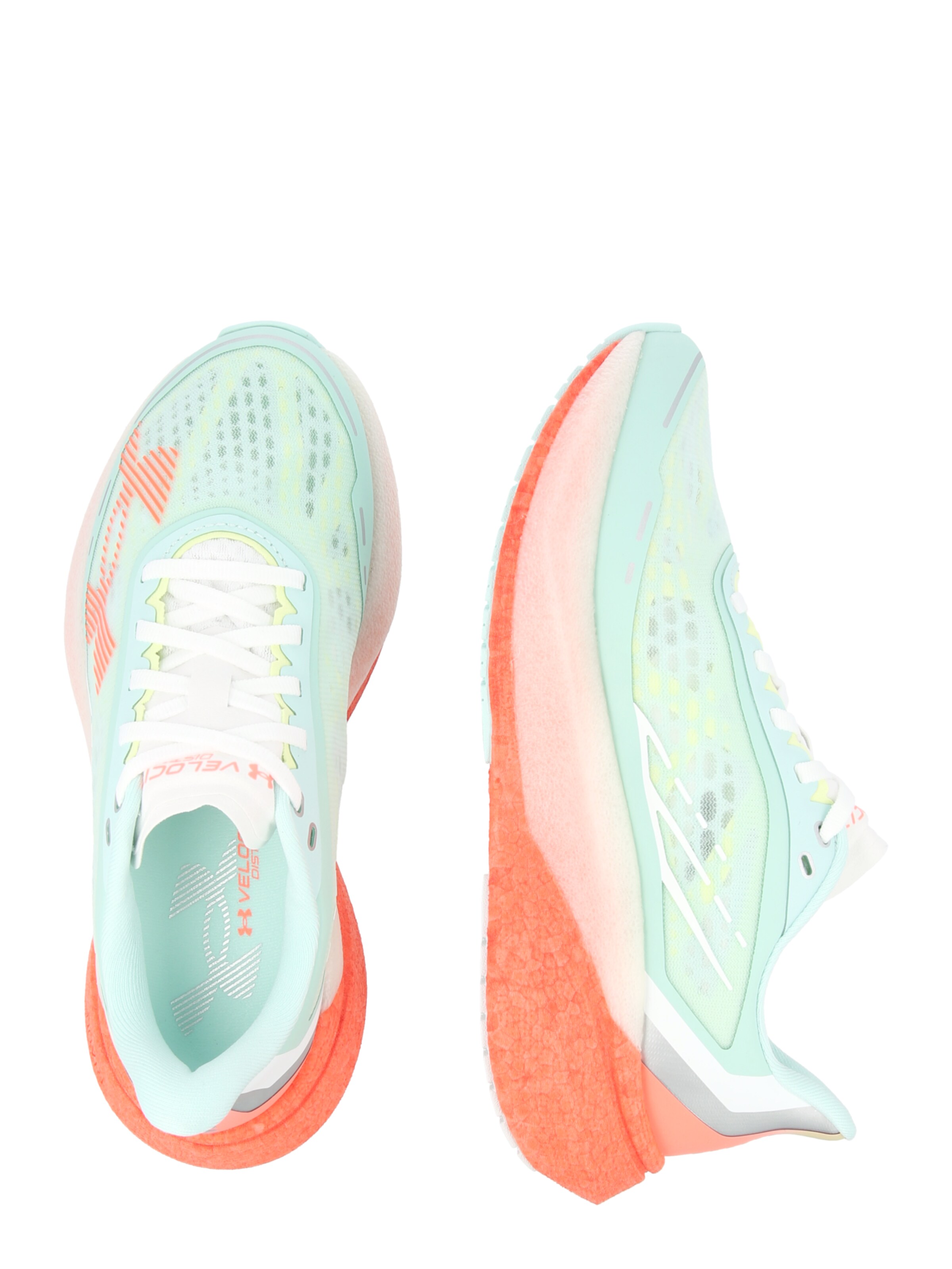 UNDER ARMOUR Обувь для бега 'Velociti Distance' в Зеленый