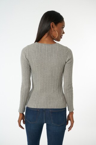 Pull-over Jimmy Sanders en gris