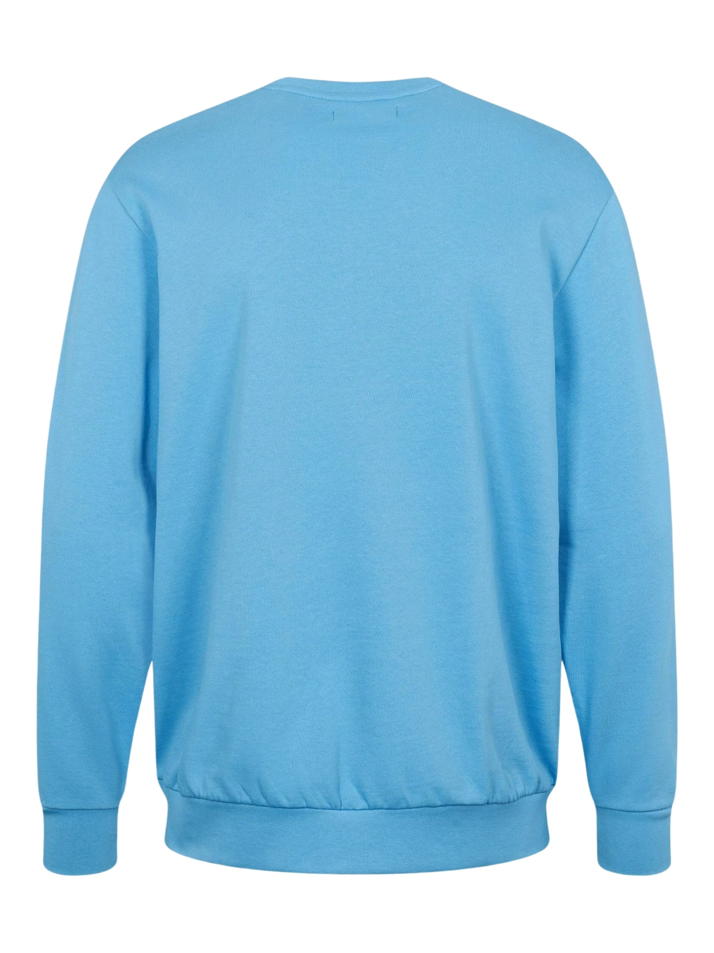 U.S. POLO ASSN. Sweatshirt 'Adler' in Blau