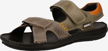 PIKOLINOS Sandals in Grey: front