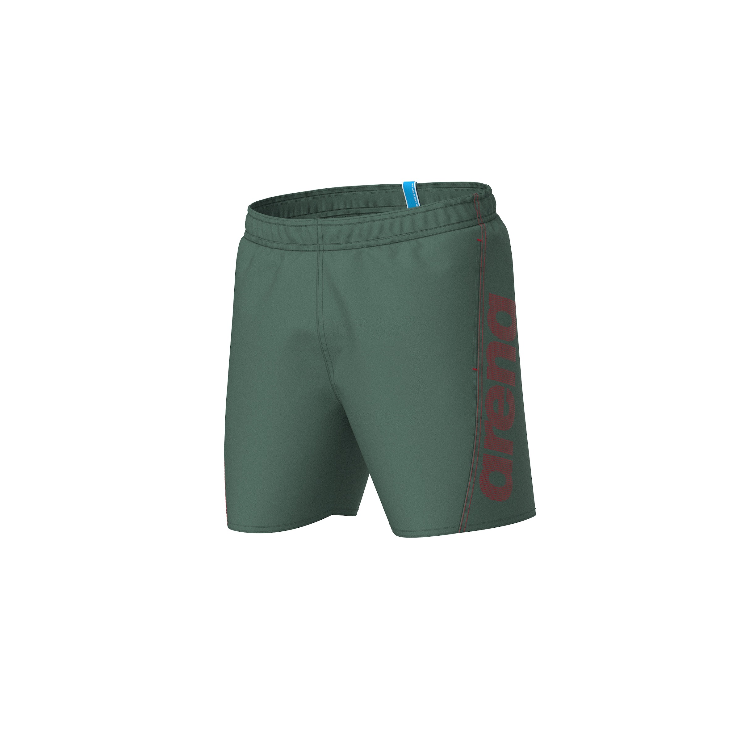 ARENA Badeshorts in Grün