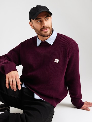 Pull-over Calvin Klein Jeans en violet