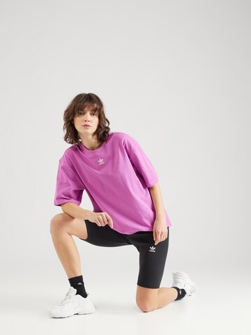 ADIDAS ORIGINALS Shirt 'Adicolor Essentials' in Lila