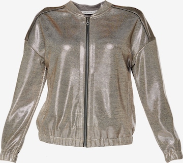 Le Temps Des Cerises Between-Season Jacket 'VANA' in Silver: front