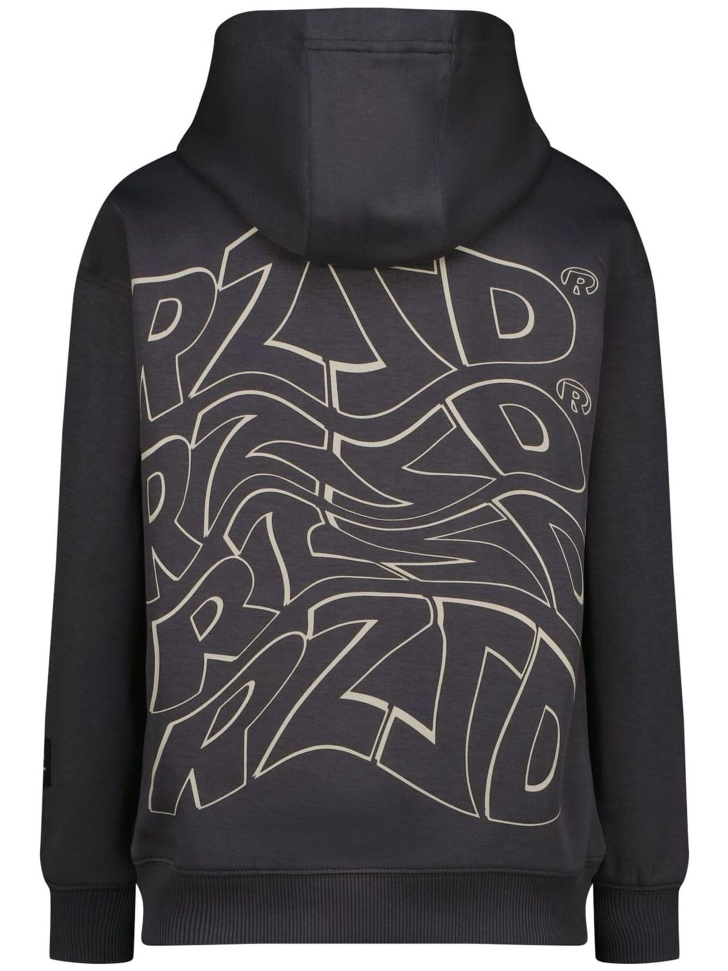 Raizzed Sweatshirt in Grijs