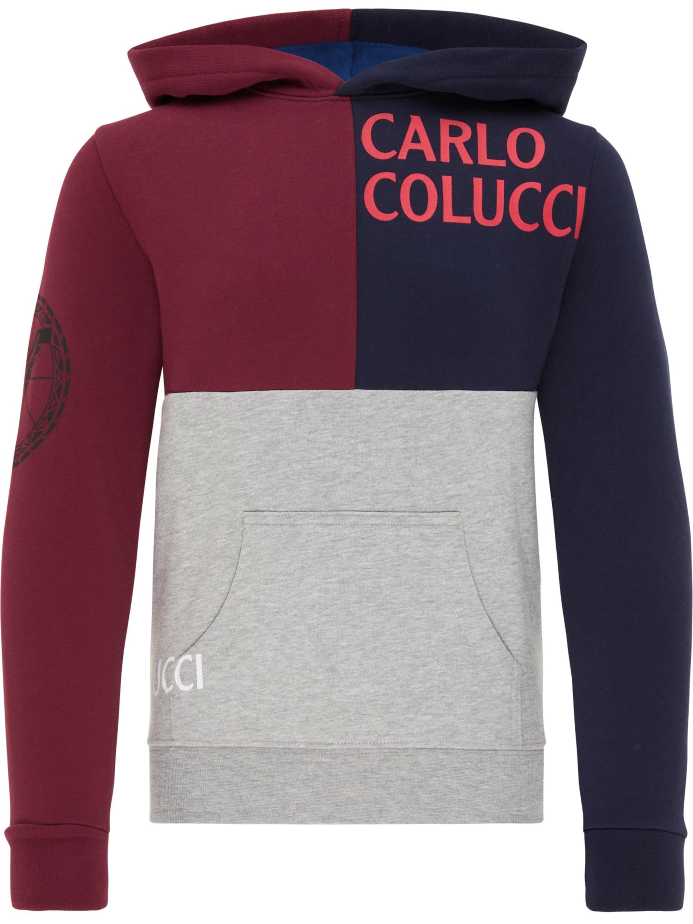 Sweat Carlo Colucci en mélange de couleurs : devant