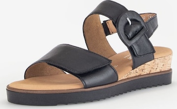 GABOR Strap Sandals in Black: front