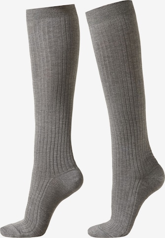 CALZEDONIA Socken in Grau: Vorderseite