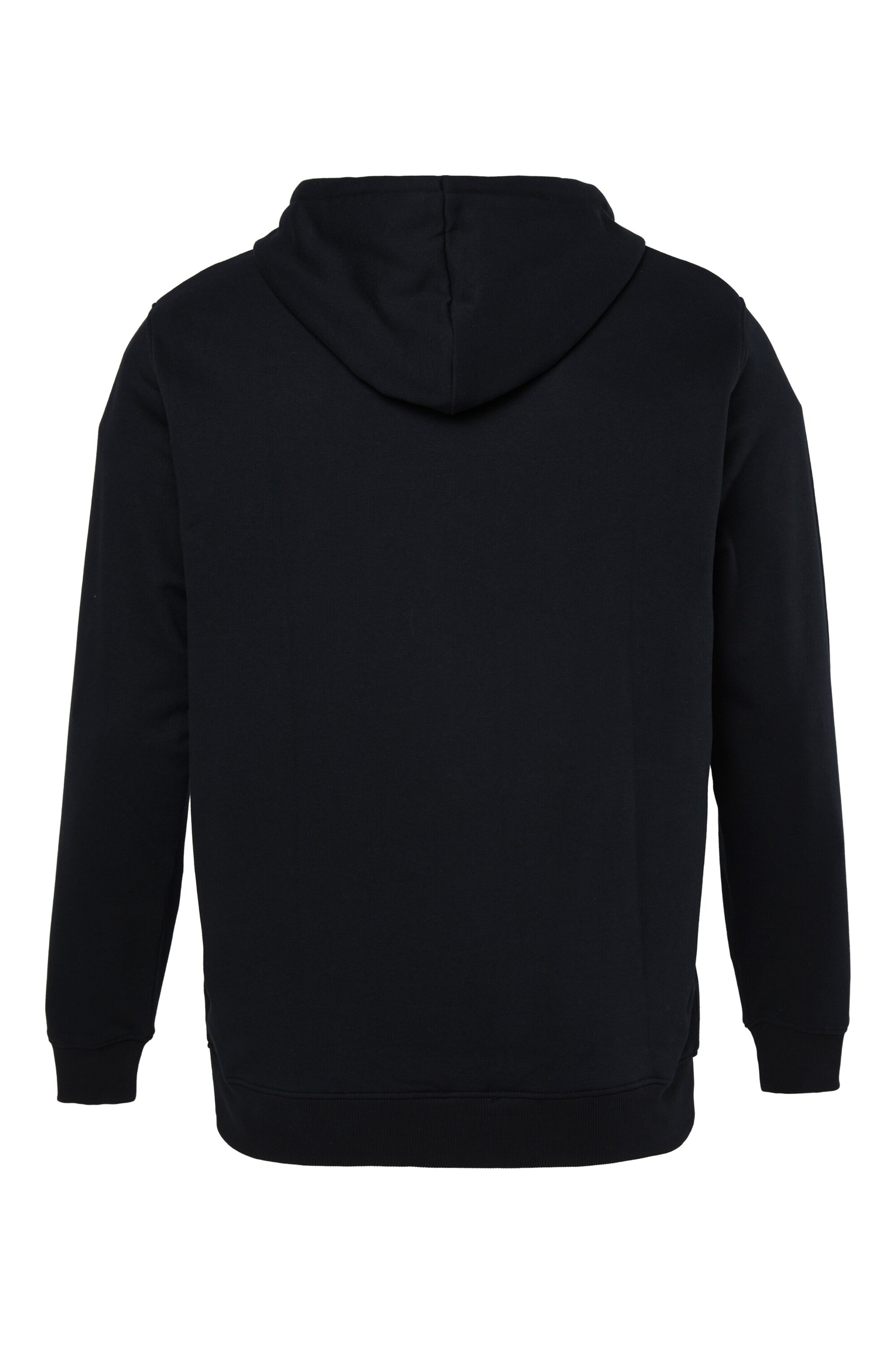Men Plus Sweatshirt in Zwart