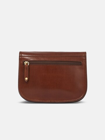 The Bridge Crossbody Bag in Brown