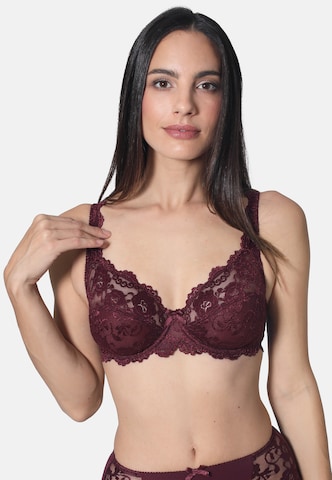 sassa Triangle Bra in Purple