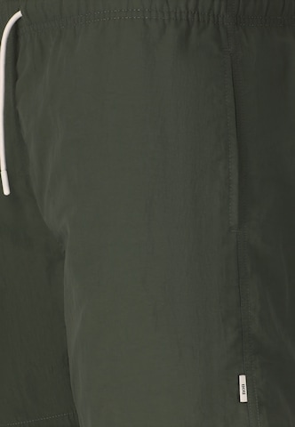 NOU Boardshorts 'Eyemouth V2' in Grün